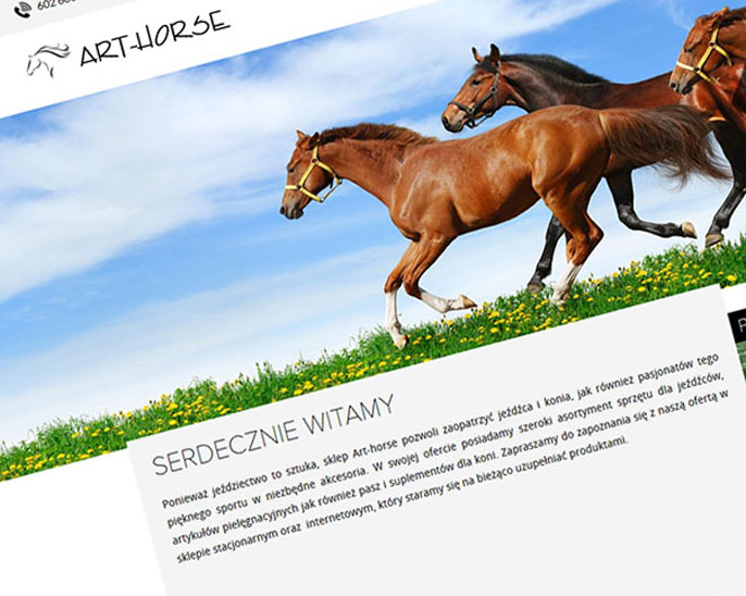 Artykuły jeżdzieckie