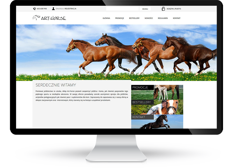 Sklep internetowy dla firmy Art Horse