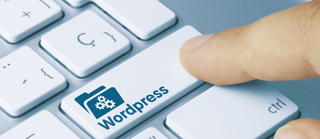 Wydajnosc i optymalizacja WordPressa