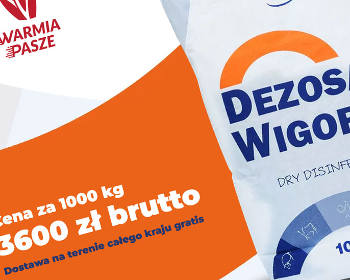 Sklep internetowy One produktu Dezosan