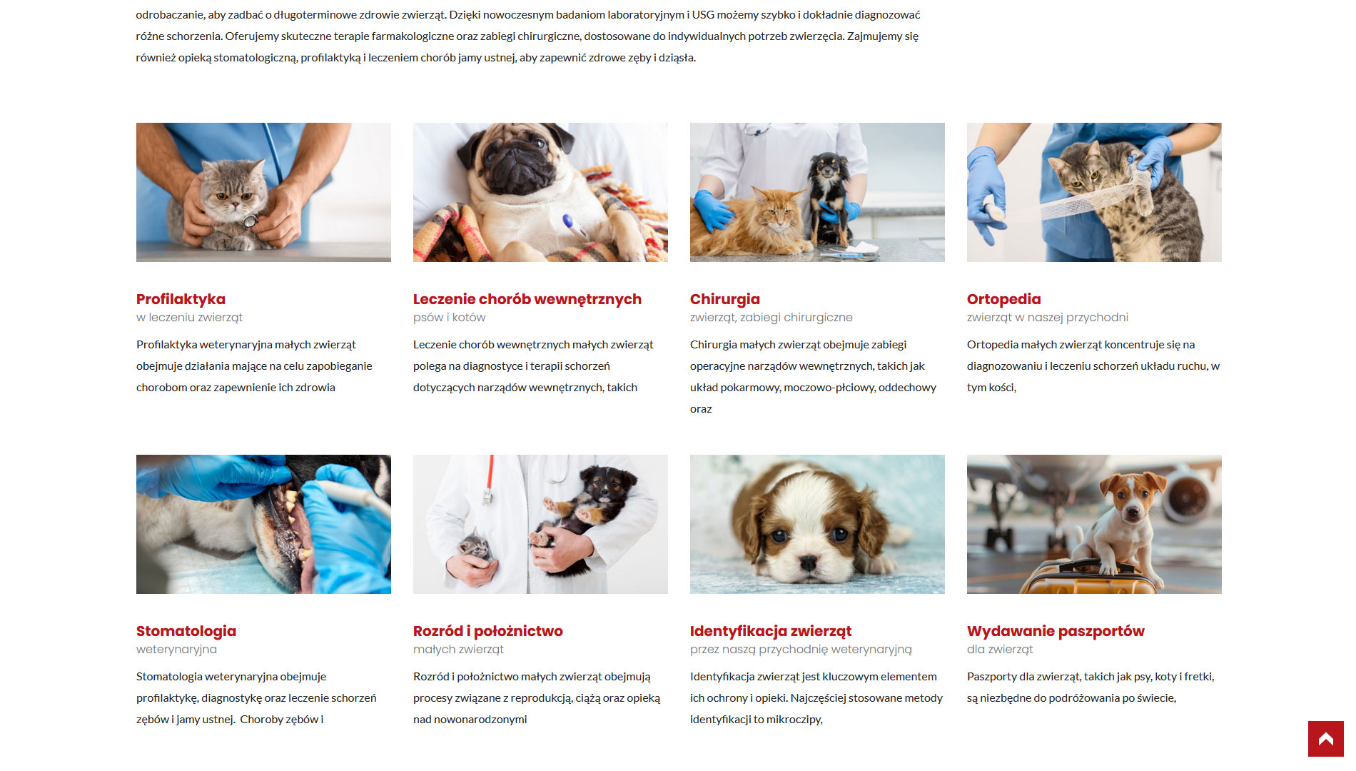 latwo dostepna oferta latwo dostepna oferta