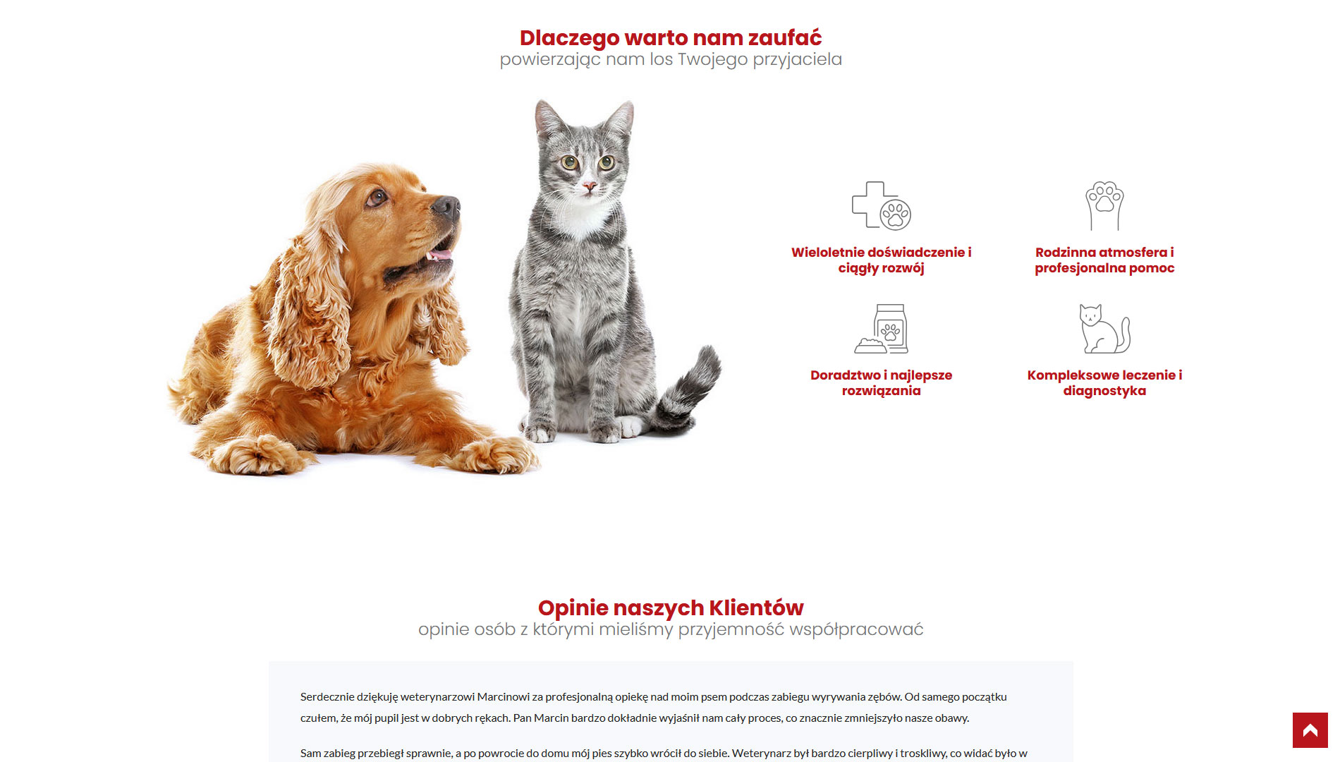 strona www Medvet strona www Medvet